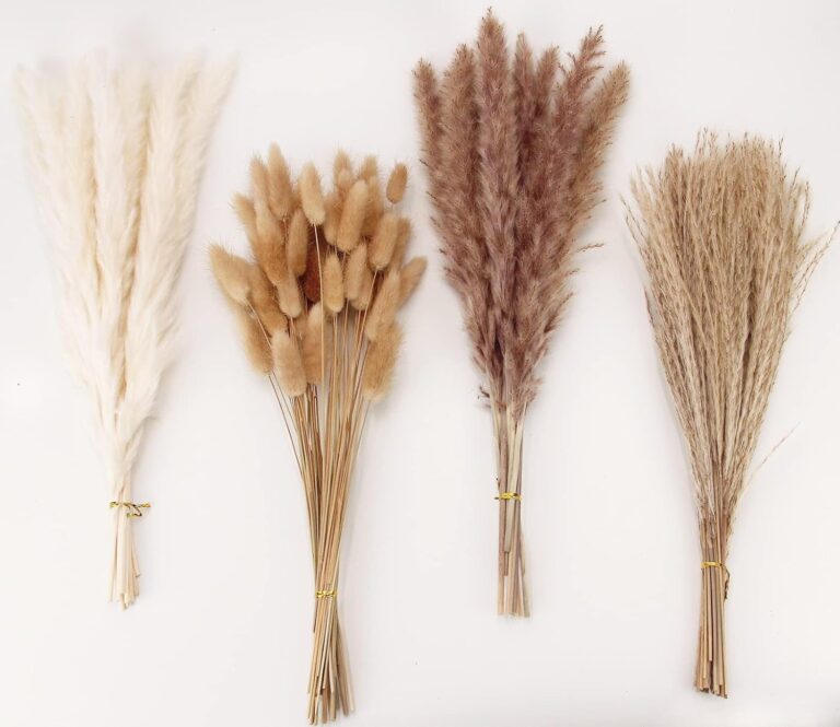 Best Pampas Grass Decor for 2026: Create the Perfect Boho Vibe