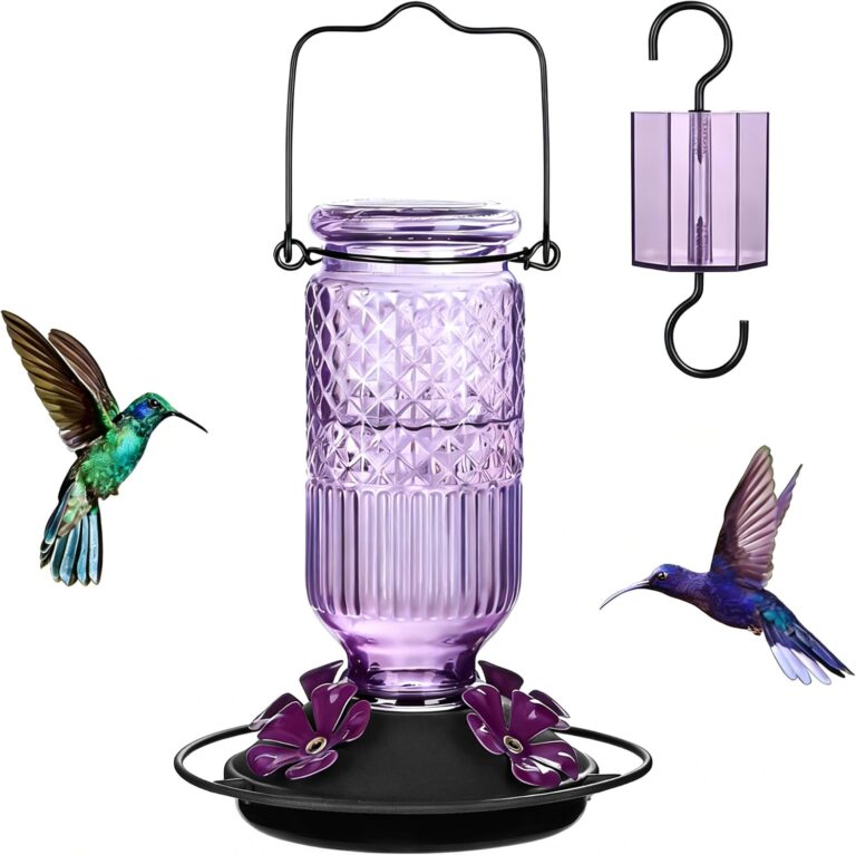 FEED GARDEN Glass Hummingbird Feeder for Outdoors Hanging, 1: Why It’s Trending in Garden & Outdoor (Patio Furniture & Accessories)