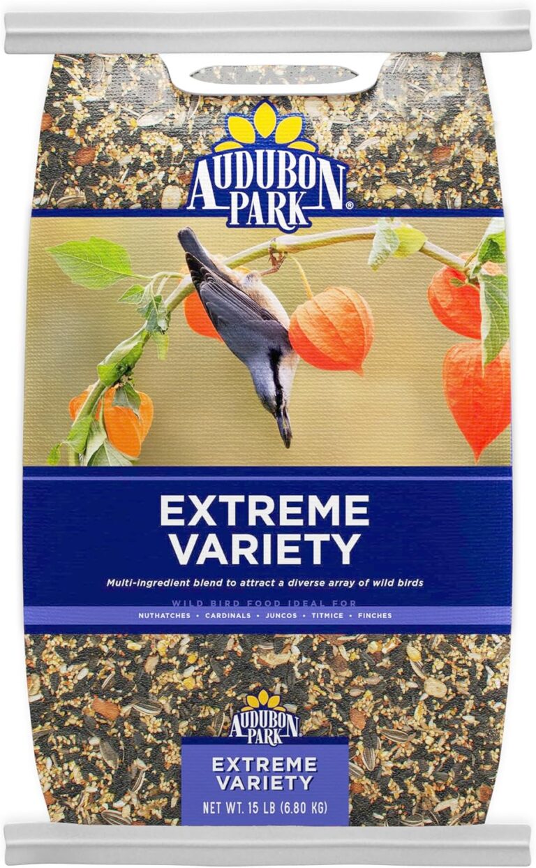 Audubon Park Extreme Variety Wild Bird Seed for Outside Feed: Why It’s Trending in Garden & Outdoor (Patio Furniture & Accessories)