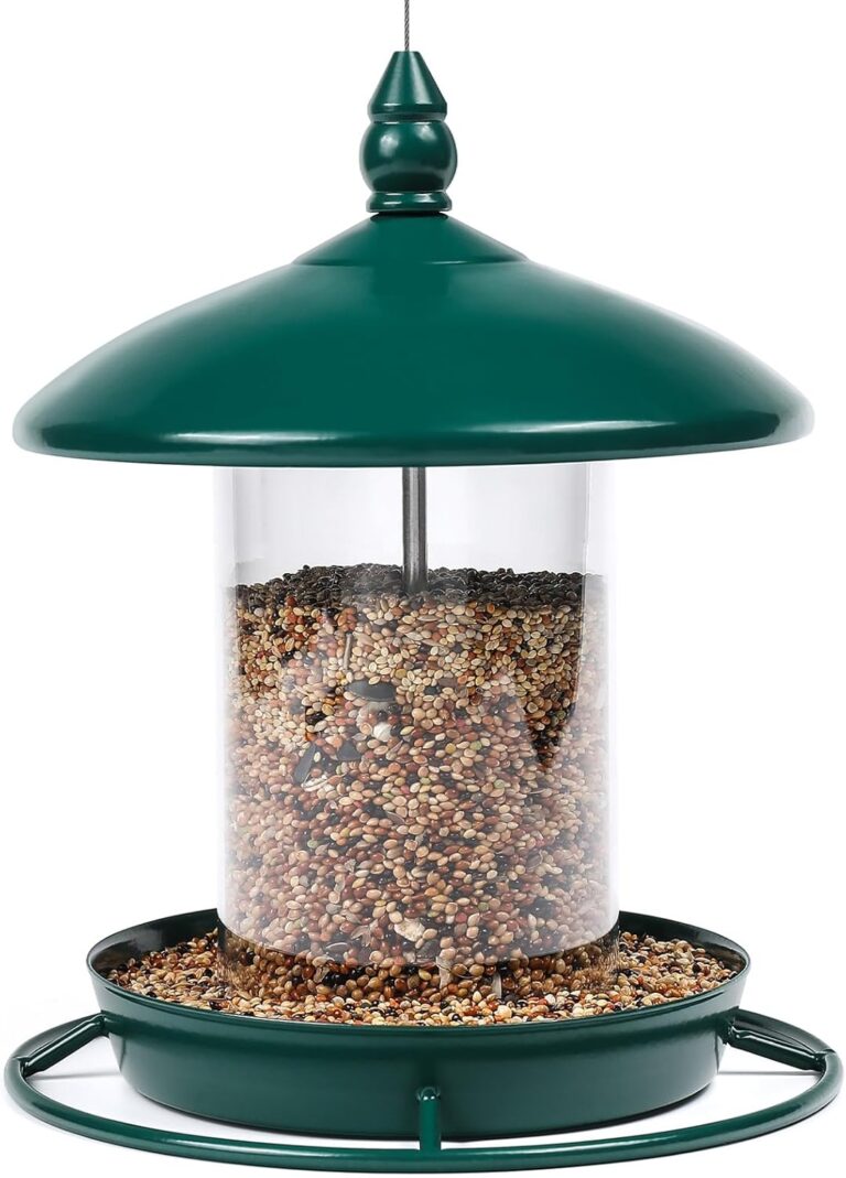 Metal Roof Bird Feeder for Outdoors – 360° Feeding Perch. Gr: Why It’s Trending in Garden & Outdoor