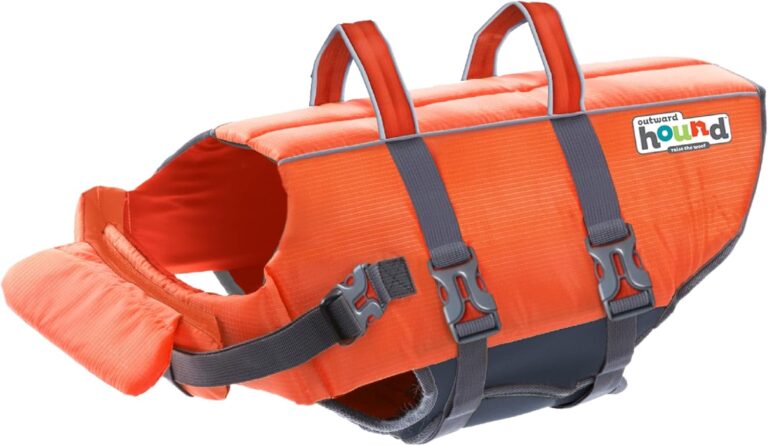 Outward Hound Granby Splash Orange Dog Life Jacket, Large: Why It’s Trending in Pet Finds