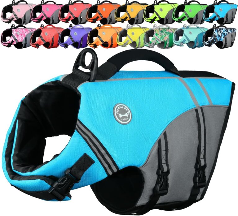 VIVAGLORY Sports Style Dog Life Vest, Dog Life Jacket for Sw: Why It’s Trending in Pet Finds