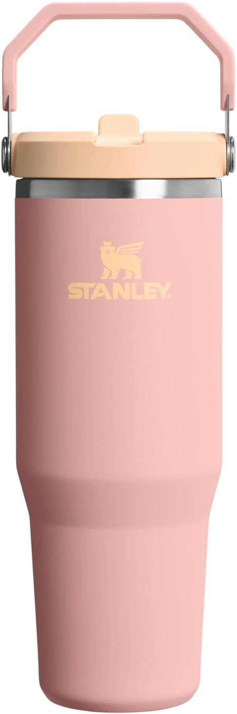 STANLEY IceFlow 2.0 Flip Straw Tumbler with Handle 30 oz | T: Why It’s Trending in Clean Living