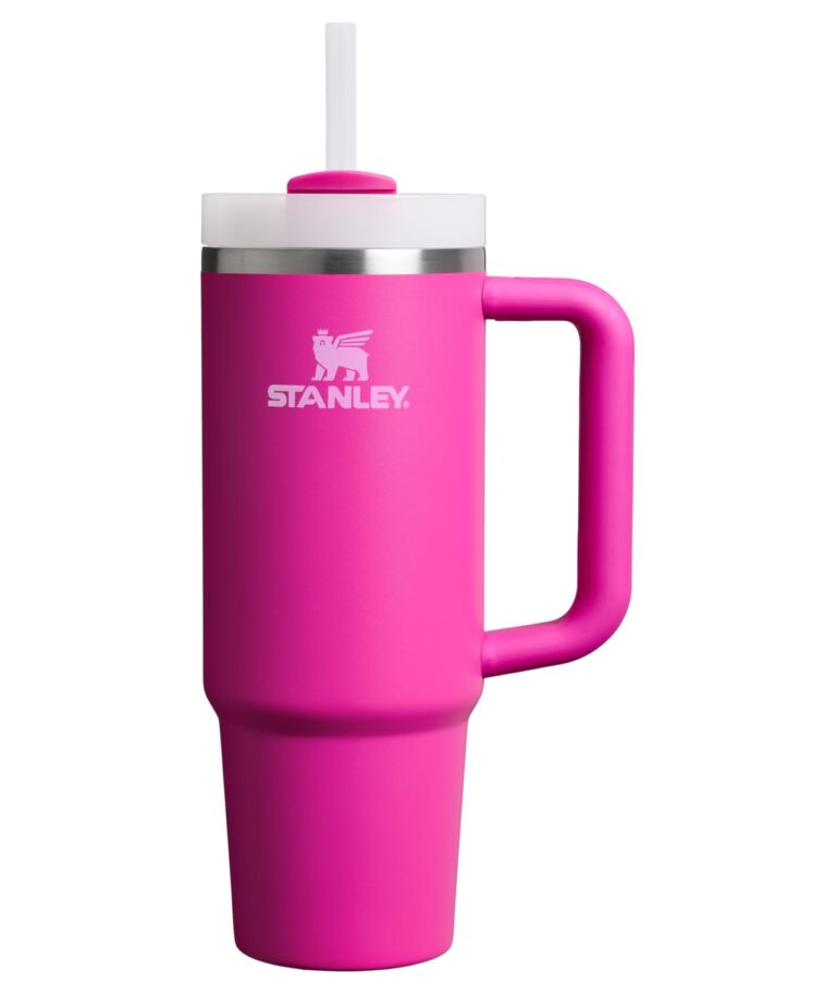 STANLEY Quencher H2.0 Tumbler with Handle and Straw 30 oz | : Why It’s Trending in Organization