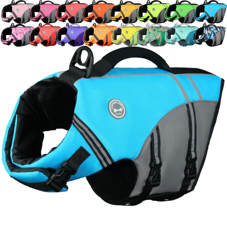 VIVAGLORY Dog Life Vest Sports Style Dog Swim Vest, L, Blue : Why It’s Trending in Pet Finds