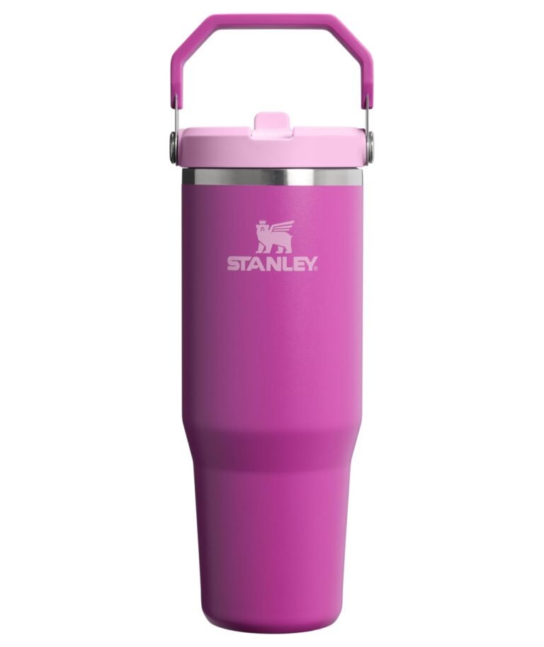 STANLEY IceFlow 2.0 Flip Straw Tumbler with Handle 30 oz | T: Why It’s Trending in Clean Living