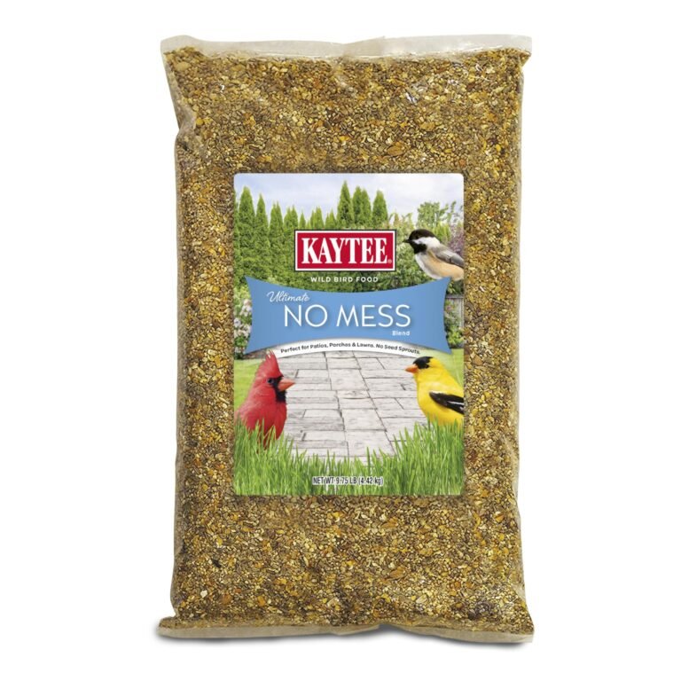 Kaytee Ultimate No Mess Food, Wild Bird Seed for Outside Fee: Why It’s Trending in Garden & Outdoor