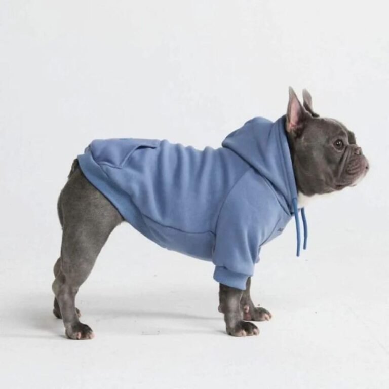 Spark Paws Dog Hoodie – Buttery-Soft Sweater Sweatshirt, Clo: Why It’s Trending in Pet Finds